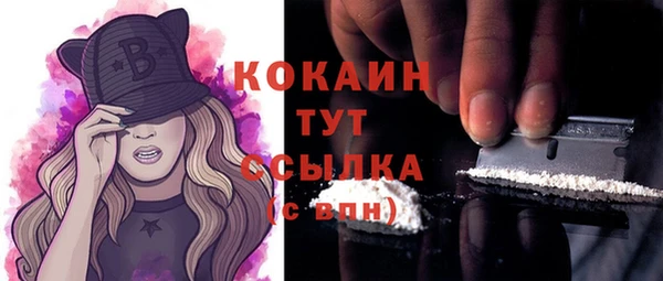 хмурый Козловка