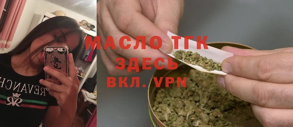 индика Коряжма