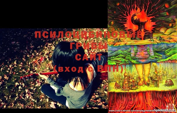 шишки Кодинск