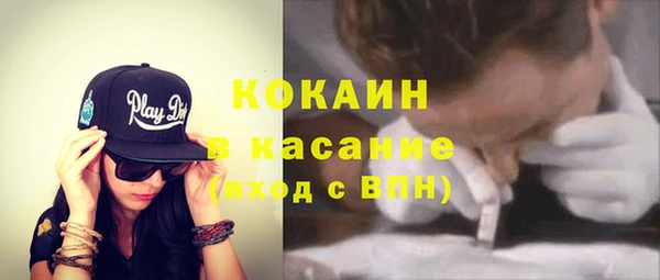 шишки Кодинск