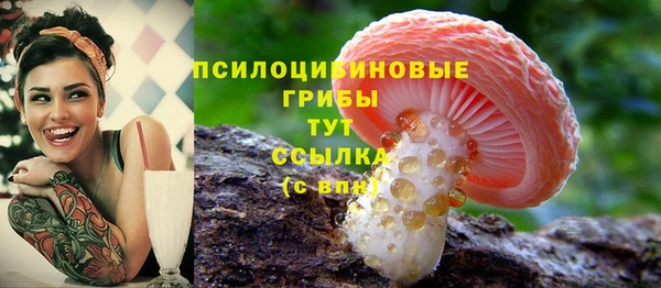 сатива Корсаков