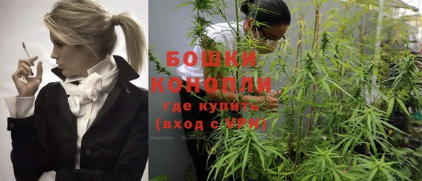 индика Коряжма