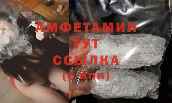 сатива Корсаков