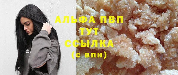 индика Коряжма