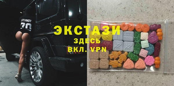 индика Коряжма