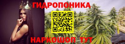 спиды Дубна
