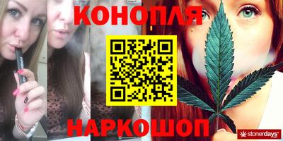спиды Дубна