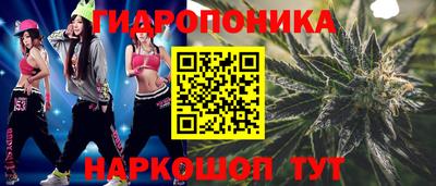 гашик Донской