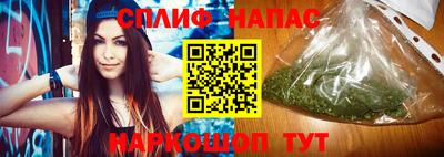 гашик Донской
