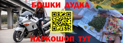 спиды Дубна