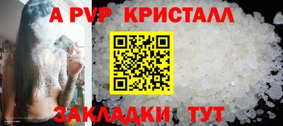гашик Донской